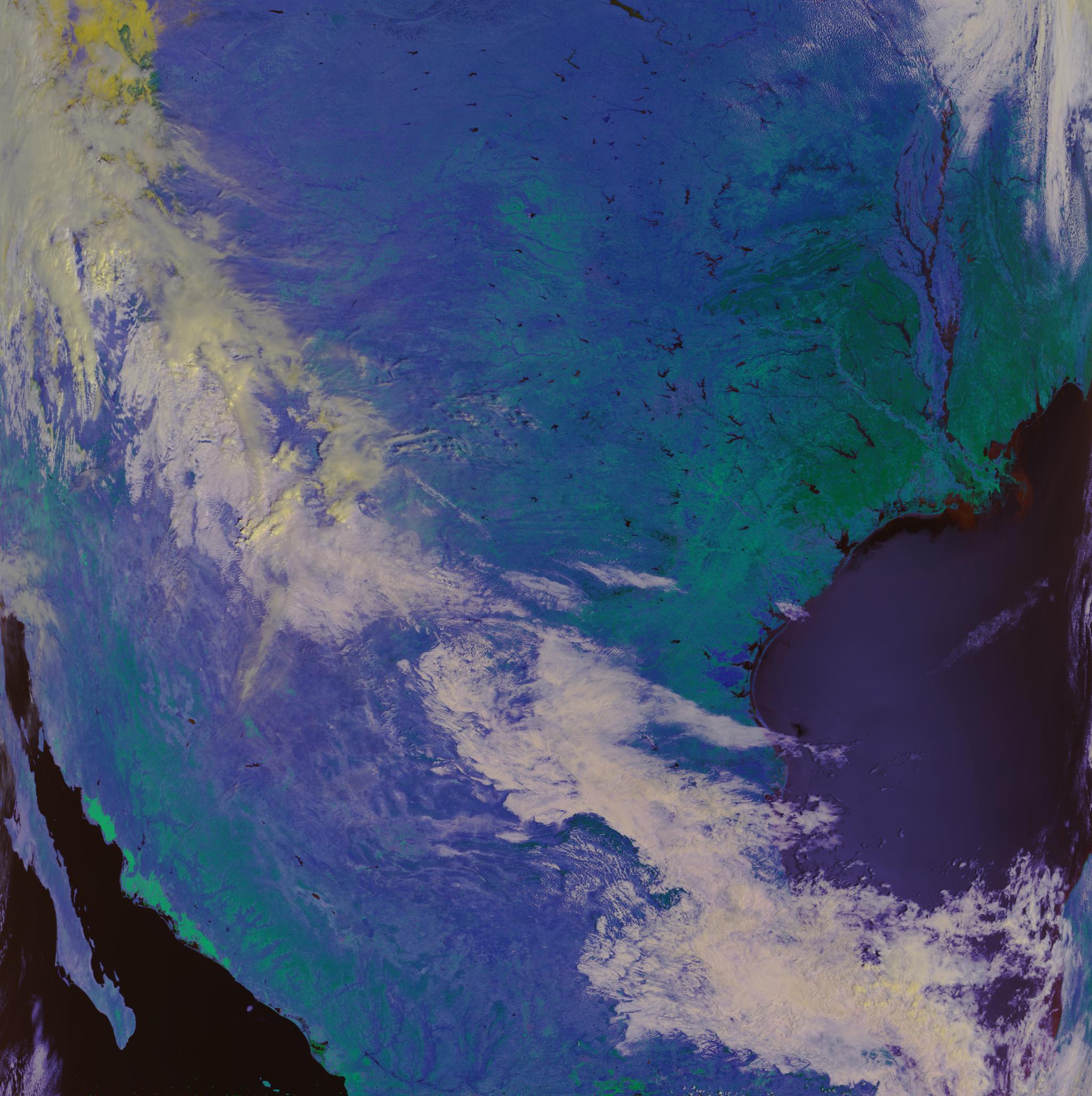 Metop C Vegetation Vegetation